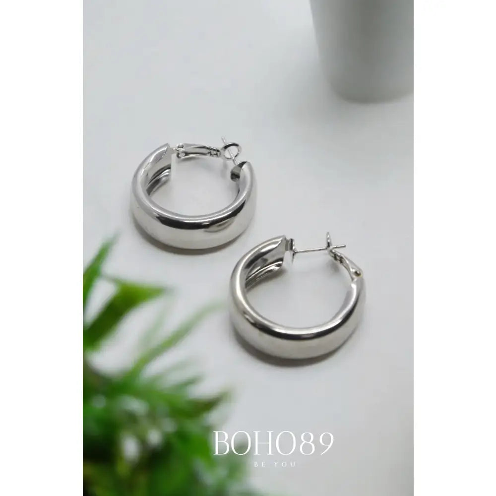 Silver Essence Earrings